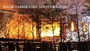 BALIK FABRİKASINDA YANGIN