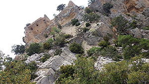 KAHRAMANLIK DESTANI MI, ALAMUT KALESİ Mİ?