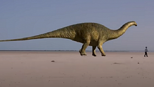 DİNAZORLAR YOK OLDU, PEKİ SONRA NE OLDU