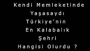HERKES KENDİ MEMLEKETİNDE OLSA TÜRKİYE'NİN EN KALABALIK ŞEHRİ HANGİSİ OLUR 