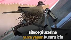 KUMRUNUN YUVASINI BOZMAMAK İÇİN TİCARİ ARACINI KULLANMIYOR
