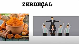 PROF. DR. SERDAR AKGÜN ZERDEÇAL KULLANANLARI UYARDI