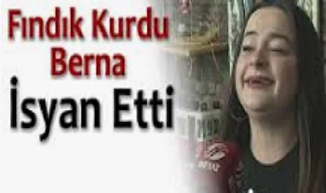 FINDIK KURDU BERNA'DA SONUNDA İSYAN ETTİ