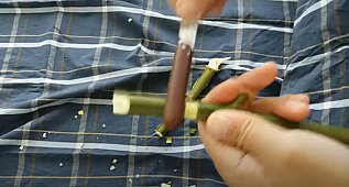 SÖĞÜT ÇUBUĞUNDAN DÜDÜK NASIL YAPILIR 