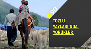  *YÖRÜKLER TOROSLARDA – 