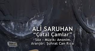  ALİ SARUHAN - ÇATAL ÇAMLAR  