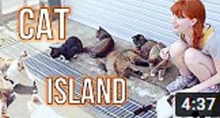 JAPONYA'DA KEDİ ADASINI GÖRELİM 