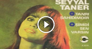 ŞİMDİ SEN VARSIN ( 1974 ) – SEYYAL TANER SÖYLÜYOR  